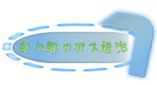 ܏H̃{Xގ